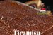 Tiramisu cu cozonac – rețetă simplă și ingenioasă pentru un desert savuros-0