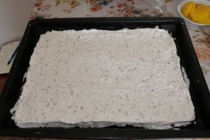 Prajitura cu mango si afine ( Alfonso 18 ani )
